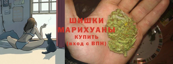 ECSTASY Няндома