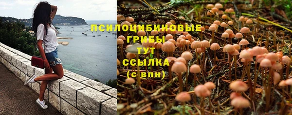 ГАЛЛЮЦИНОГЕННЫЕ ГРИБЫ Абаза