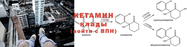 ГАЛЛЮЦИНОГЕННЫЕ ГРИБЫ Абаза