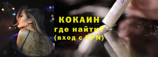 ГАЛЛЮЦИНОГЕННЫЕ ГРИБЫ Абаза