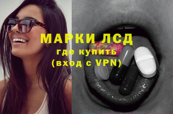 ГАЛЛЮЦИНОГЕННЫЕ ГРИБЫ Абаза