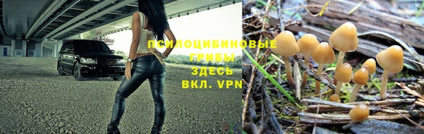 прущие крисы Абдулино