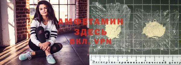 ГАЛЛЮЦИНОГЕННЫЕ ГРИБЫ Абаза