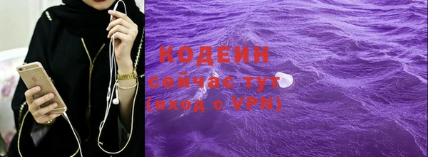 ГАЛЛЮЦИНОГЕННЫЕ ГРИБЫ Абаза