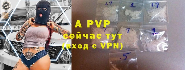 ГАЛЛЮЦИНОГЕННЫЕ ГРИБЫ Абаза